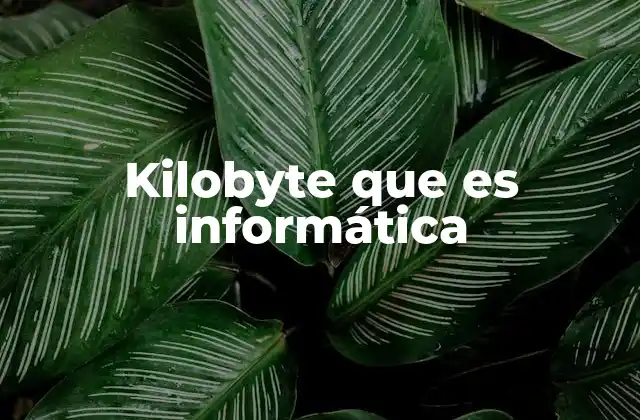 Kilobyte que es Informática
