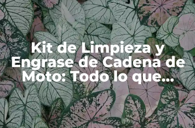 Kit de Limpieza y Engrase de Cadena de Moto: Todo Lo que Necesitas Saber