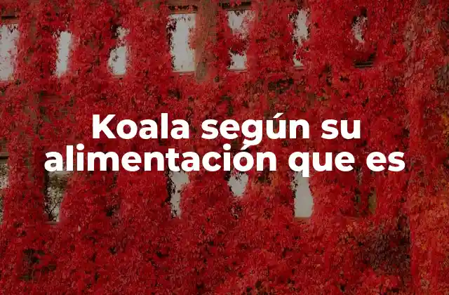 Koala según Su Alimentación que es