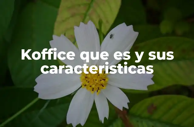 Características principales de la suite de oficina KOffice