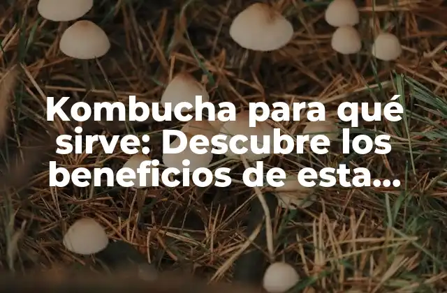 Kombucha para Qué Sirve: Descubre los Beneficios de Esta Bebida Milagrosa