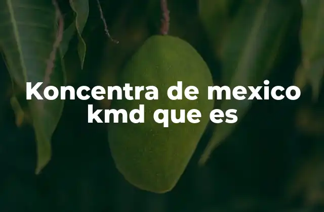 Koncentra de Mexico Kmd que es
