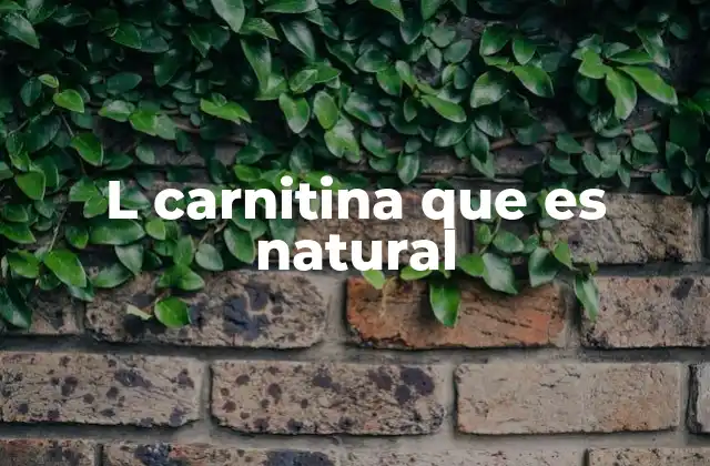 L Carnitina que es Natural