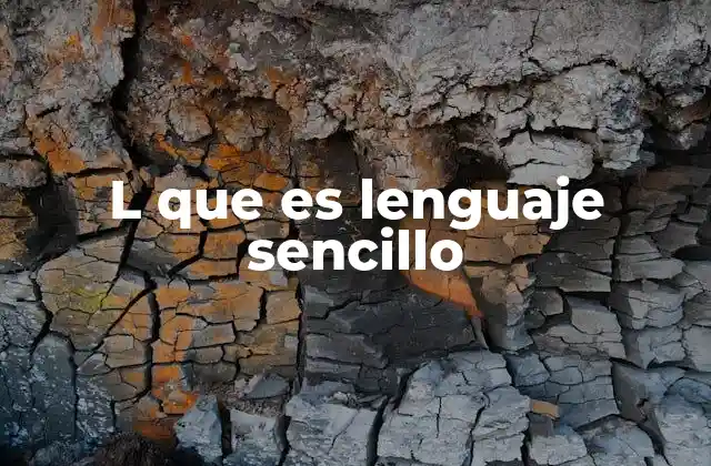 L que es Lenguaje Sencillo