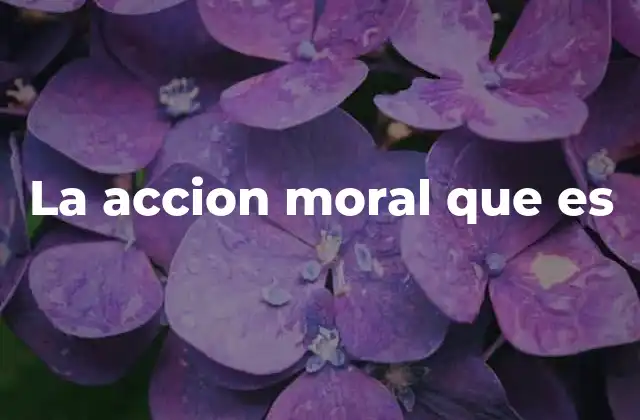 La Accion Moral que es