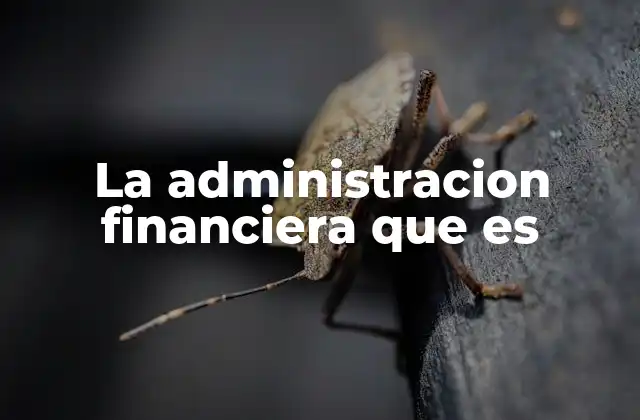 La Administracion Financiera que es