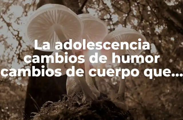 La Adolescencia Cambios de Humor Cambios de Cuerpo que es