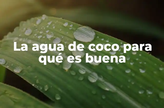 Beneficios del agua de coco para la salud general