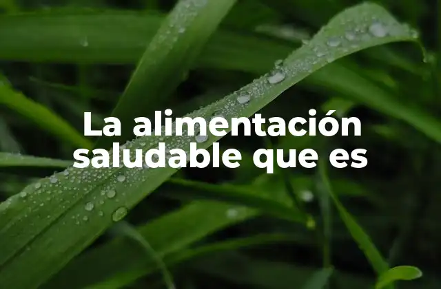 La Alimentación Saludable que es