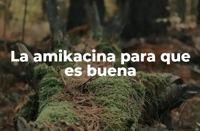 La Amikacina para que es Buena