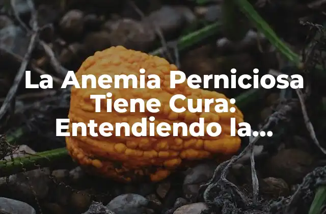 La Anemia Perniciosa Tiene Cura: Entendiendo la Enfermedad y Sus Tratamientos
