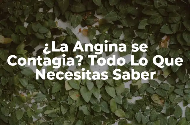 ¿la Angina Se Contagia? Todo Lo que Necesitas Saber