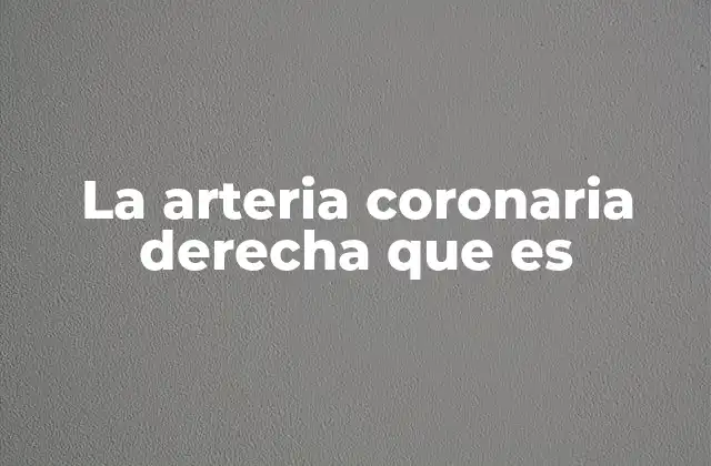 La Arteria Coronaria Derecha que es