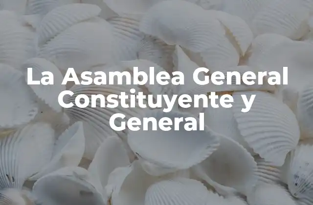 La Asamblea General Constituyente y General