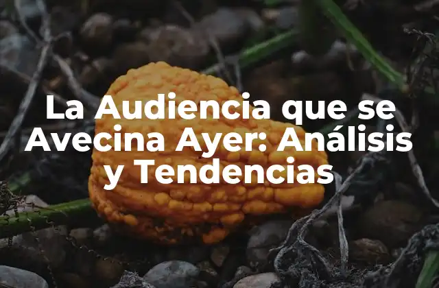 La Audiencia que Se Avecina Ayer: Análisis y Tendencias