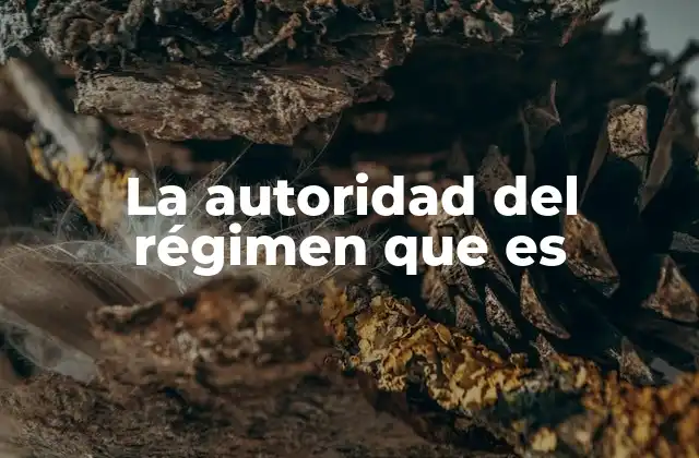 La Autoridad Del Régimen que es