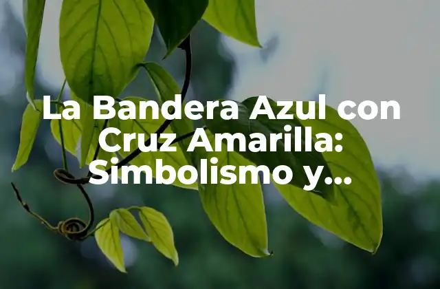La Bandera Azul con Cruz Amarilla: Simbolismo y Significado
