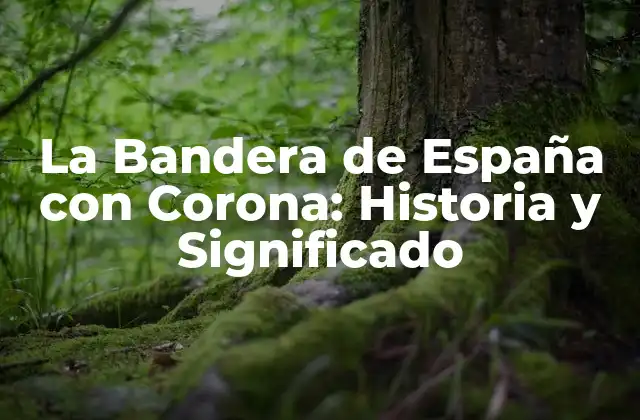 Orígenes de la Bandera de España