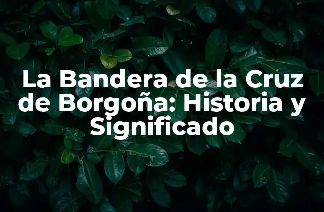 La Bandera de la Cruz de Borgoña: Historia y Significado