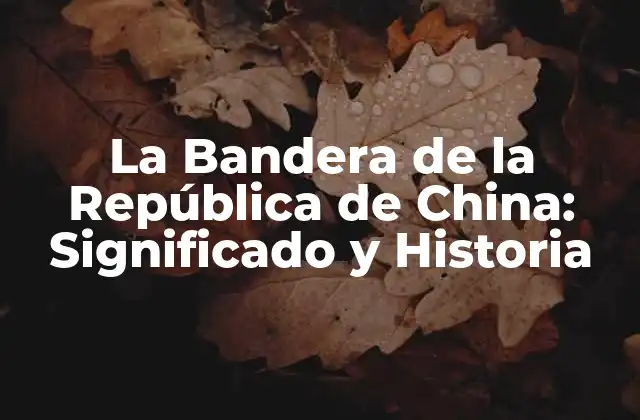 La Bandera de la República de China: Significado y Historia