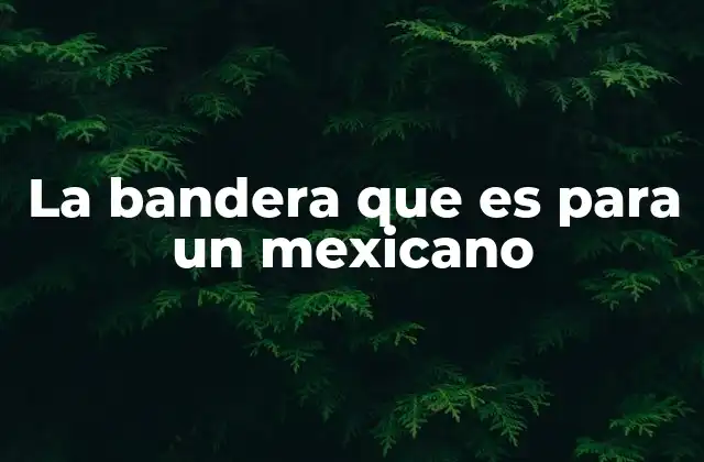 El símbolo de identidad nacional sin mencionar directamente la bandera