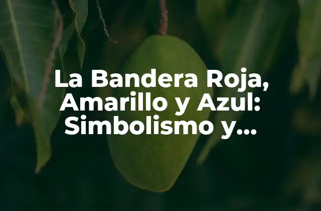 La Bandera Roja, Amarillo y Azul: Simbolismo y Significado