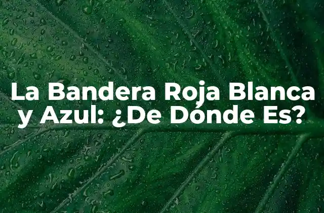La Bandera Roja Blanca y Azul: ¿de Dónde Es? 2 Orígenes de la Bandera Roja Blanca y Azul