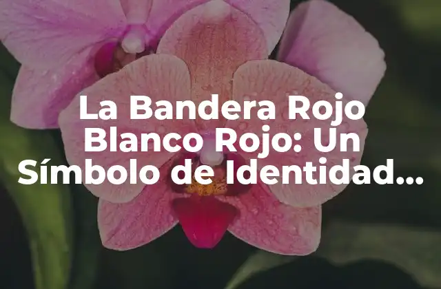 La Bandera Rojo Blanco Rojo: un Símbolo de Identidad Nacional