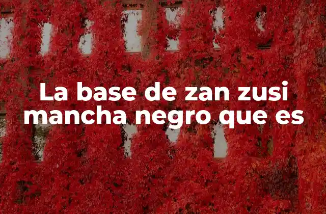 La Base de Zan Zusi Mancha Negro que es