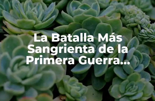 La Batalla Más Sangrienta de la Primera Guerra Mundial: Verdun, 1916