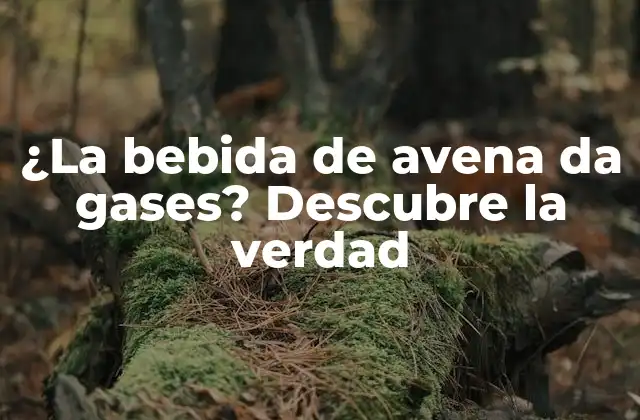 ¿la Bebida de Avena Da Gases? Descubre la Verdad