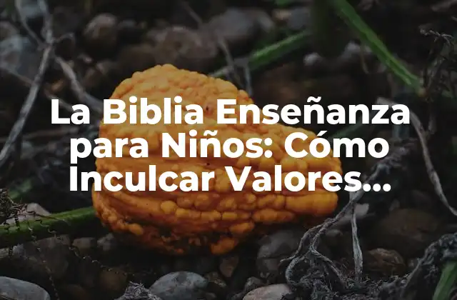 La Biblia Enseñanza para Niños: Cómo Inculcar Valores Cristianos en la Infancia