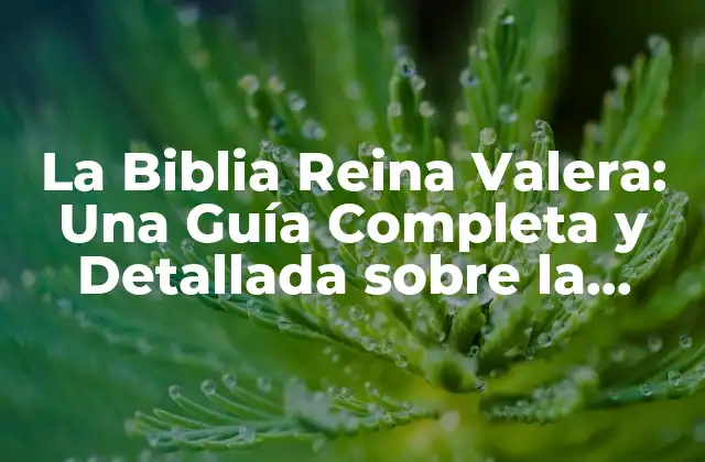 La Biblia Reina Valera: una Guía Completa y Detallada sobre la Versión Más Popular de la Biblia en Español
