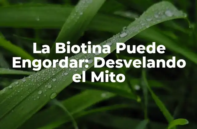 ¿Qué es la Biotina y Cómo Funciona en el Cuerpo?