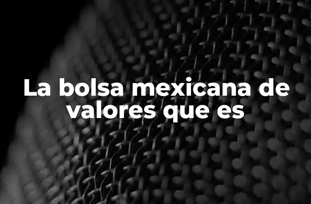 La Bolsa Mexicana de Valores que es
