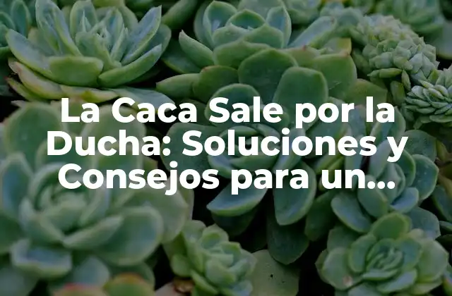 La Caca Sale por la Ducha: Soluciones y Consejos para un Problema Común
