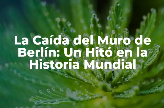 La Caída Del Muro de Berlín: un Hitó en la Historia Mundial