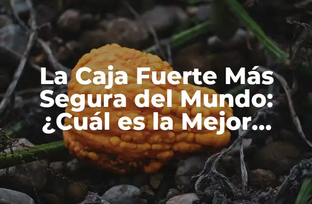 La Caja Fuerte Más Segura Del Mundo: ¿cuál es la Mejor Opción?