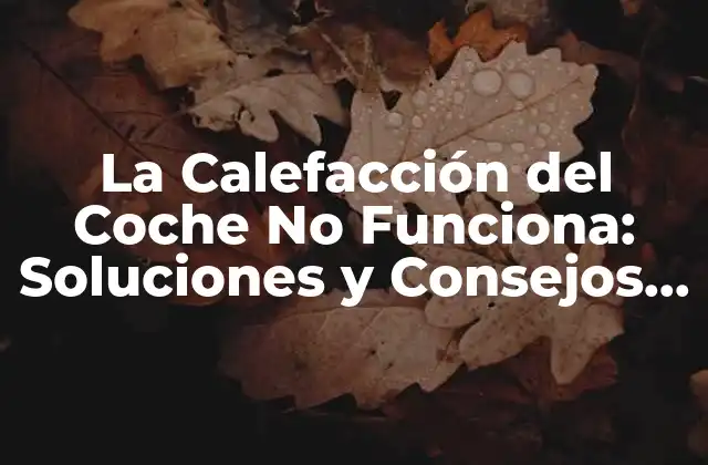 La Calefacción Del Coche No Funciona: Soluciones y Consejos para Mantener Caliente Tu Vehículo