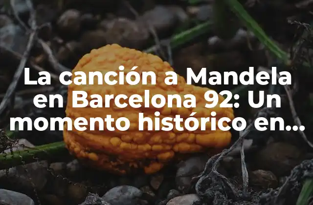 La Canción a Mandela en Barcelona 92: un Momento Histórico en la Lucha contra el Apartheid