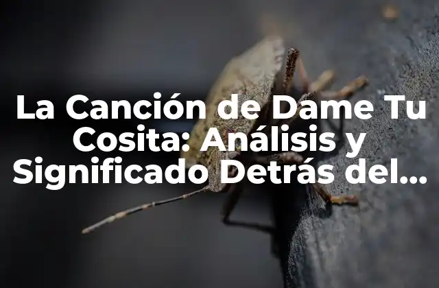 La Canción de Dame Tu Cosita: Análisis y Significado Detrás Del Fenómeno Viral