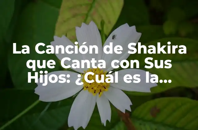 La Canción de Shakira que Canta con Sus Hijos: ¿cuál es la Historia Detrás de ‘la Del Pirata’?