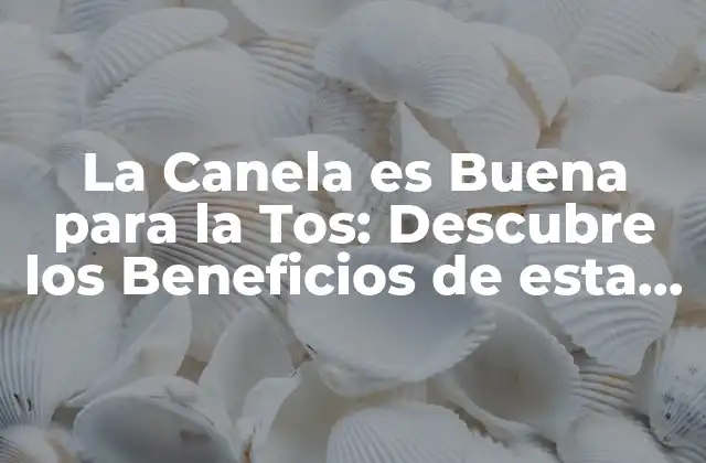 La Canela es Buena para la Tos: Descubre los Beneficios de Esta Especie Natural