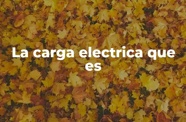 La Carga Electrica que es