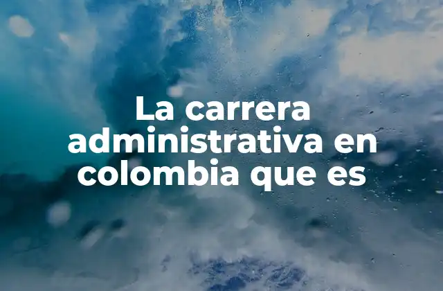 La Carrera Administrativa en Colombia que es 2 ¿Cómo se estructura la formación administrativa en el contexto colombiano?