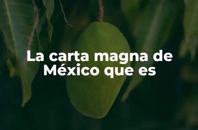 La Carta Magna de México que es