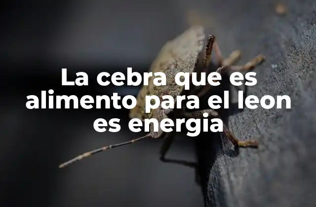 El papel de los herbívoros en la transferencia de energía ecológica