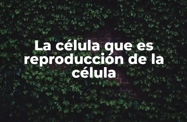 La Célula que es Reproducción de la Célula