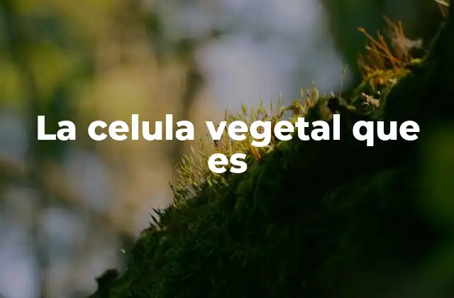 Características estructurales de la célula vegetal