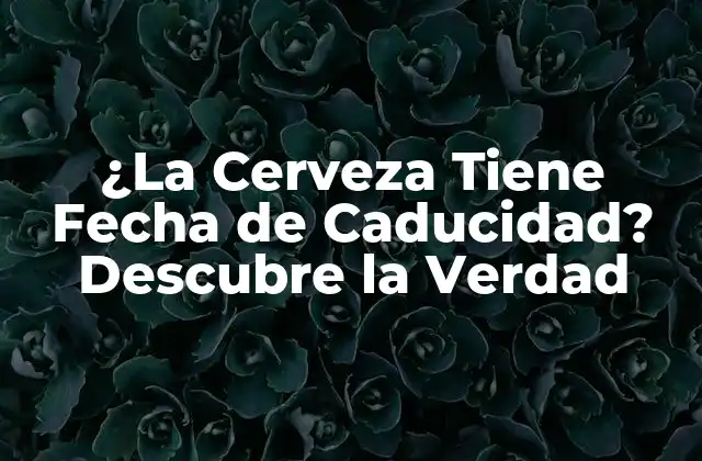 ¿la Cerveza Tiene Fecha de Caducidad? Descubre la Verdad